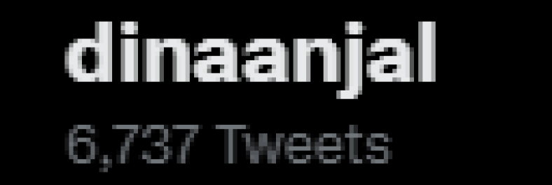 Dina Anjal (Twitter page)