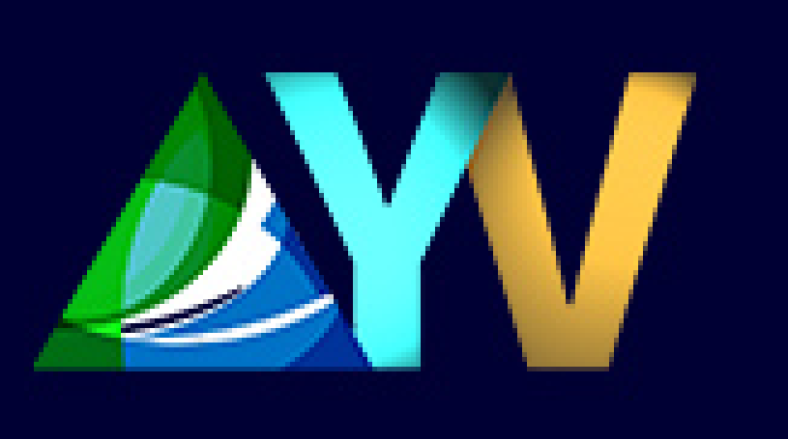 AYV News