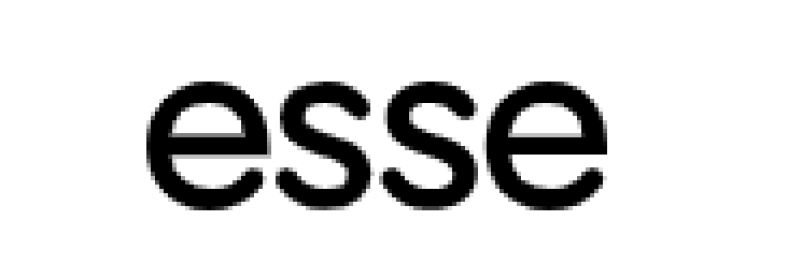 Esse arts + opinions‎