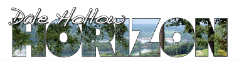 Celina Dale Hollow Horizon