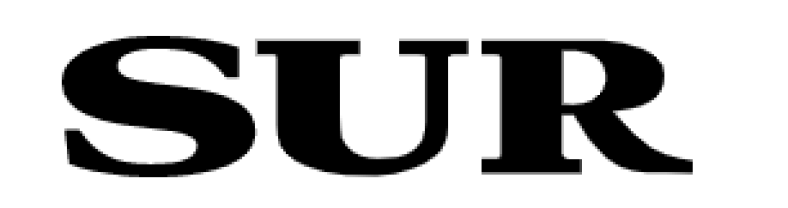 Diario Sur (Málaga)