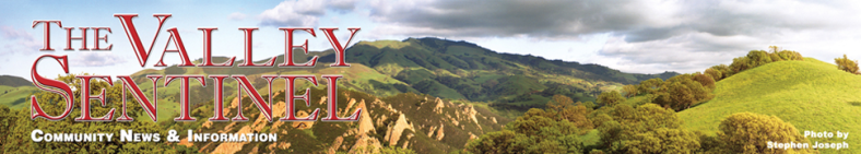 Danville Valley Sentinel